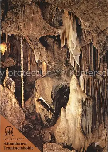 Hoehlen Caves Grottes Attendorn Tropfsteinhoehle Eisbaer Lange Saeule  Kat. Berge