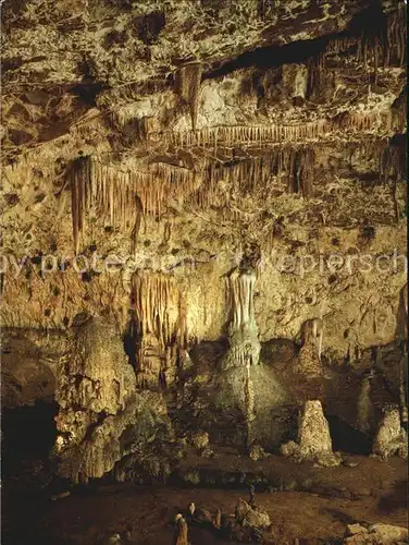 Hoehlen Caves Grottes Moravsky Kras Punkva Hoehle Dom Kat. Berge