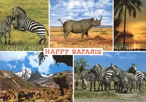 Tiere Safari Zebras Nashorn  Kat. Tiere