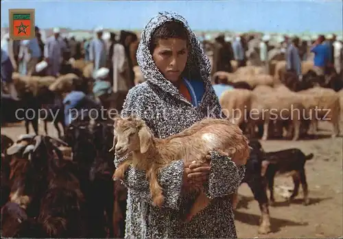 Ziege Kind Agadir Gran Zoco  Kat. Tiere