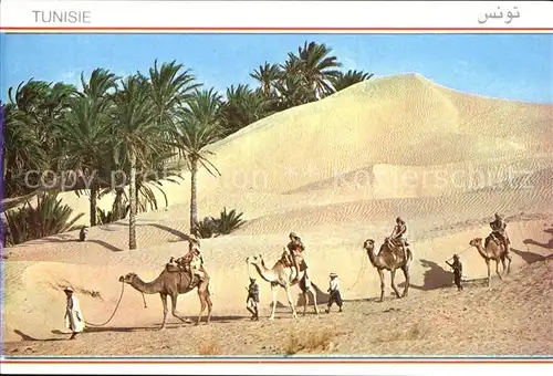 Kamele Tunisie Caravane du Sahara Kat. Tiere