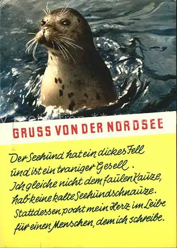 Seehunde Robben Gedicht Nordsee   Kat. Tiere