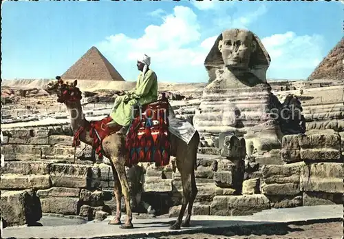 Kamele Grosse Sphinx von Giza Mykerinos Pyramide Kat. Tiere