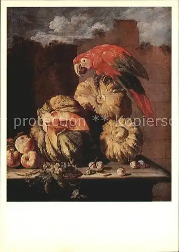 Kuenstlerkarte Alte Kuenstler Franz Werner Tamm A Parrot on Pumpkins  Kat. Kuenstlerkarte