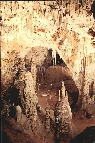 Hoehlen Caves Grottes Postojnska Jama Spomenik Kat. Berge