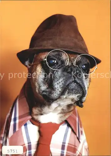 Vermenschlicht Hunde Hut Sehbrille Hemd Krawatte Kat. Kuenstlerkarte