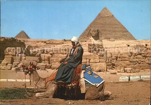 Kamele Giza Great Sphinx Pyramidd of Kephren Mikerinos Kat. Tiere