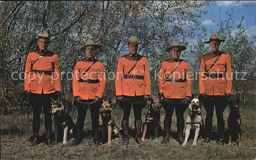 Polizei Royal Canadian Mounties in Action Hunde  Kat. Polizei