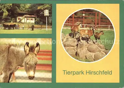 Tiere Tierpark Hirschfeld Schweizerhaus Esel Muffelwild Kat. Tiere