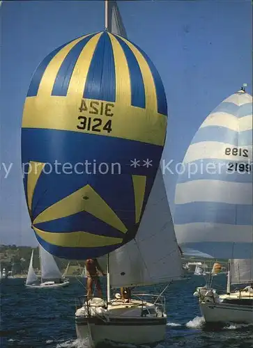 Segelboote Yachting Sydney Harbour Kat. Schiffe