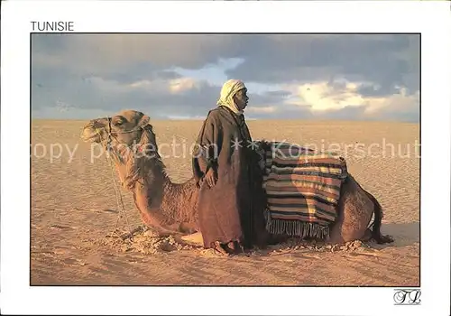 Kamele Kamelhirt Tunesien Kat. Tiere