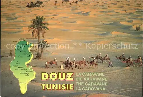 Kamele La Caravane Douz Tunisie  Kat. Tiere