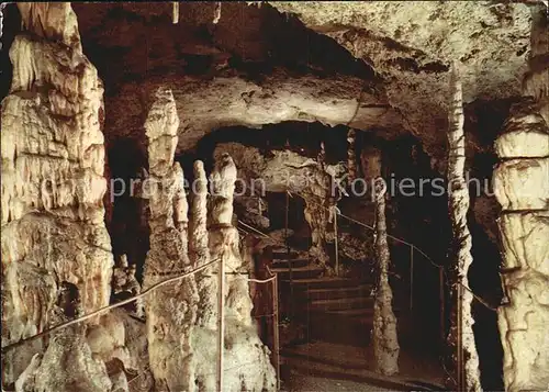 Hoehlen Caves Grottes Nebelhoehle Genkingen Unterhausen Kat. Berge
