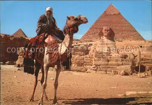 Kamele Giza Camel driver Sphinx and Khafre Pyramid  Kat. Tiere