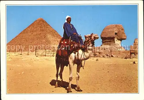 Kamele Giza Camel Driver Sphinx and Pyramid of Khufu Kat. Tiere