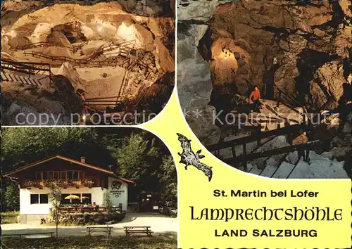 Hoehlen Caves Grottes Lamprechtshoehle St. Martin bei Lofer Gasthaus  Kat. Berge