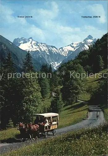 Pferde Stellwagenfahrt Oberstdorf Allgaeu Trettachspitze Kratzer Kat. Tiere