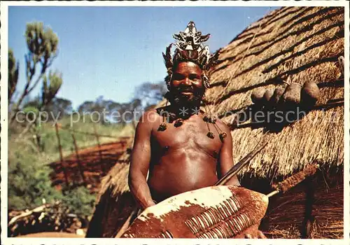 Typen Afrika Zulu Warrior