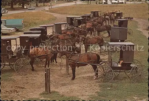 Pferdekutschen Amish Rugs Market Day  Kat. Tiere