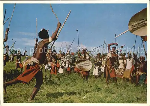 Typen Afrika Swaziland Swazi Warriors War Dance 