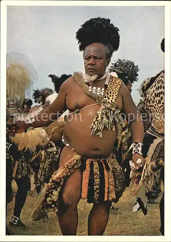 Typen Afrika Old Zulu in Dance Regalia of Animal Skins