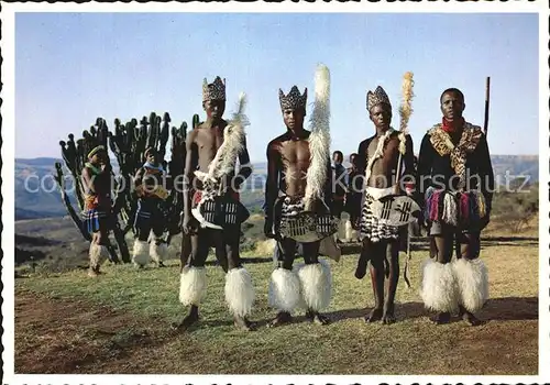 Typen Afrika Male Zulu Dancers 