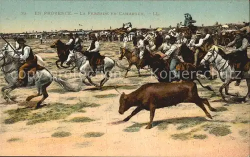 Pferde Ferrade en Camargue  Kat. Tiere