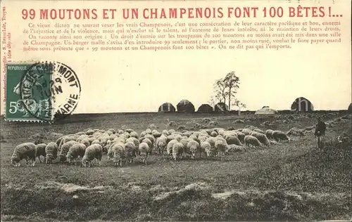 Schafe Hirte 99 Moutons et un Champenois font 100 Betes Kat. Tiere