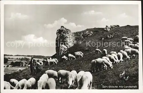 Schafe Hirte Schwaebische Aln Landschaft  Kat. Tiere