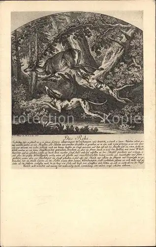 Kuenstlerkarte Alte Kuenstler Kupferstich Johann Elias Ridinger Das Rehe Kat. Kuenstlerkarte
