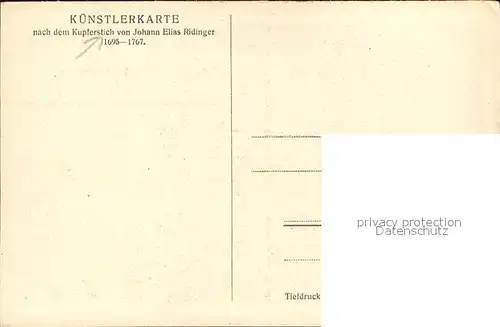 Kuenstlerkarte Alte Kuenstler Kupferstich Johann Elias Ridinger Gemsen Kat. Kuenstlerkarte