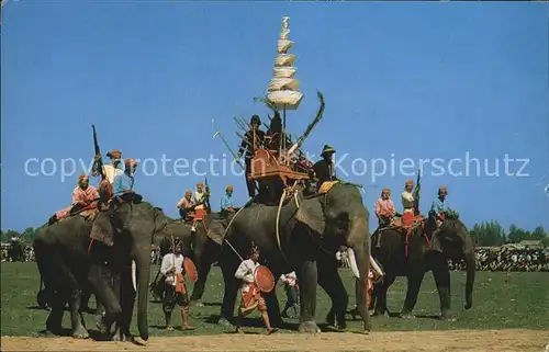 Elefant Ancient Battle Elephants showing at Surin Thailand Kat. Tiere