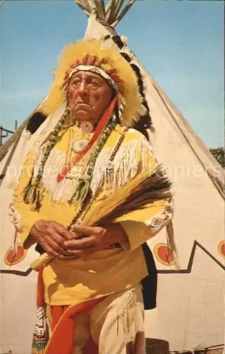 Indianer Native American Dignity and Poise of a Chief  Kat. Regionales