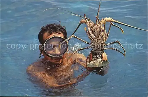 Meerestiere Spiny Lobster Phuket Province Chao Lay Thailand  Kat. Tiere
