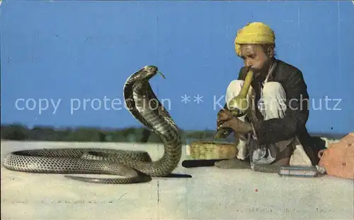 Schlangen Tiere Snake Charmer India Schlangenbeschwoerer  Kat. Tiere
