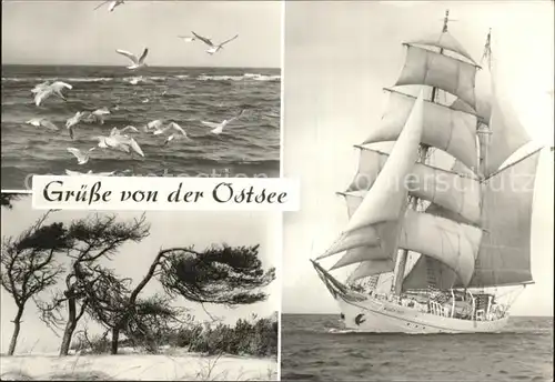 Segelschiffe Wilhelm Pieck Moewen Ostsee  Kat. Schiffe