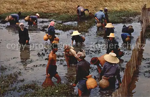 Fischerei Leisure Time Thai Farmers Flooded Farms Thailand  Kat. Handwerk