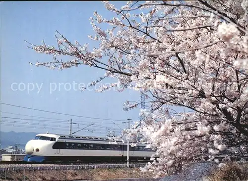 Eisenbahn Hikari Superexpress Train Kat. Eisenbahn