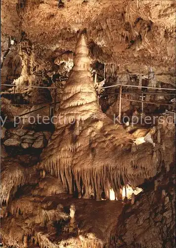 Hoehlen Caves Grottes Teufelshoehle Baum im Riesensaal  Kat. Berge