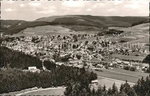 Neustadt Schwarzwald Panorama