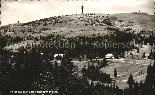 Feldberg Schwarzwald Panorama Kat. Feldberg (Schwarzwald)