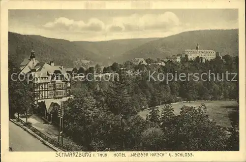 Schwarzburg Thueringer Wald Hotel Weisser Hirsch Schloss Kat. Schwarzburg