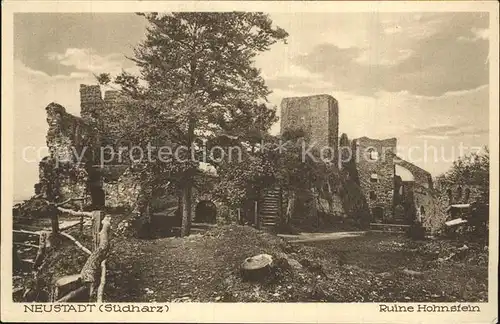 Neustadt Harz Ruine Hohnstein Kat. Neustadt Harz