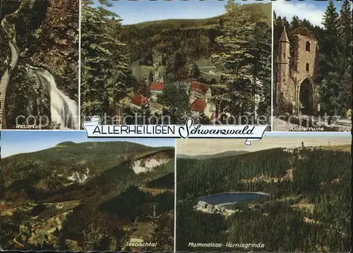Allerheiligen Oppenau Klosterruine Wasserfall Hummelsee Hornisgrinde Seebachtal Kat. Oppenau