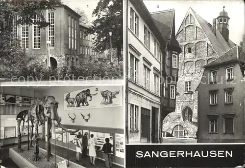 Sangerhausen Suedharz Spengler Museum Aussenansicht Altmammut Steppenelefant Rathaus Kat. Sangerhausen