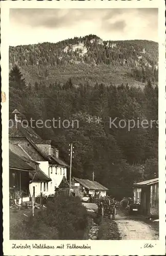 Zwiesel Niederbayern Waldhaus mit Falkenstein Kat. Zwiesel