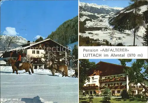 Luttach Ahrntal Suedtirol Pension Abfalterer Reiten Pferdeschlitten Winterpanorama Alpen Kat. Ahmtal