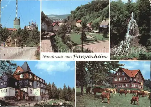 Pappenheim Thueringen Grosser Inselsberg Spiessberghaus Trusetaler Wasserfall Berghotel Kat. Floh Seligenthal