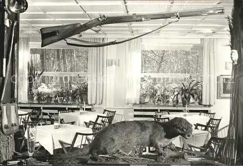 Bernau Berlin Waldschaenke Rahmersee Gewehr Tierpraeparat Kat. Bernau