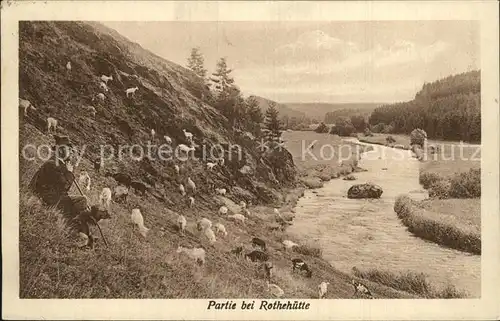 Rothehuette Hirte Schafherde  Kat. Elbingerode Harz